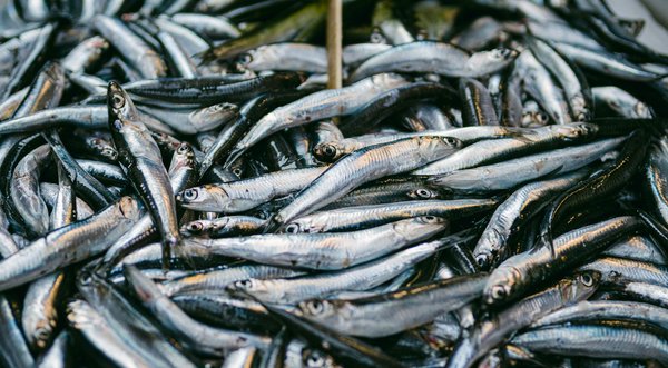 Prévention dentaire: des sourires sains, un corps sain