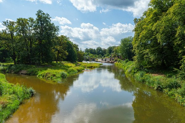 La marche nordique : un exercice idéal pour les seniors